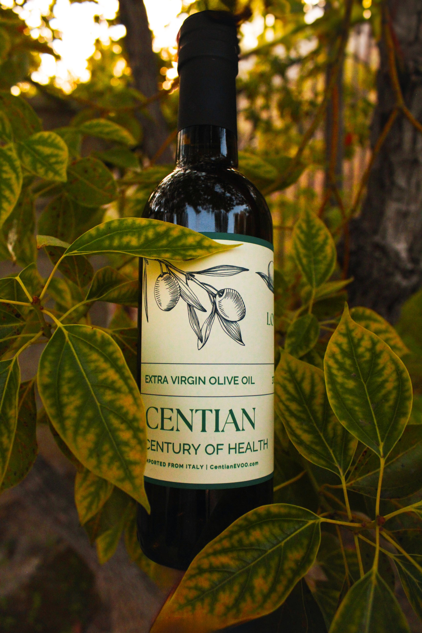 Longevity EVOO