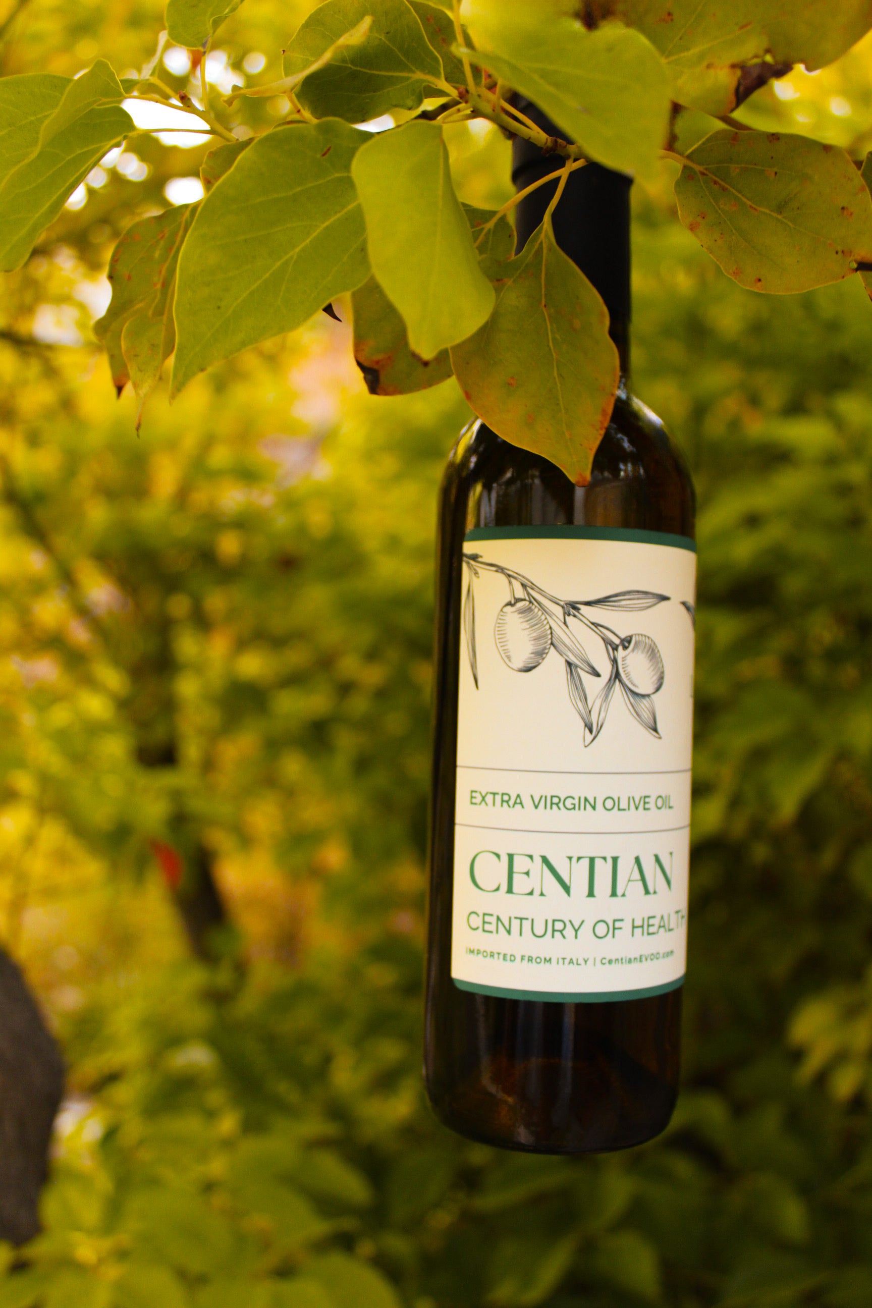 Longevity EVOO